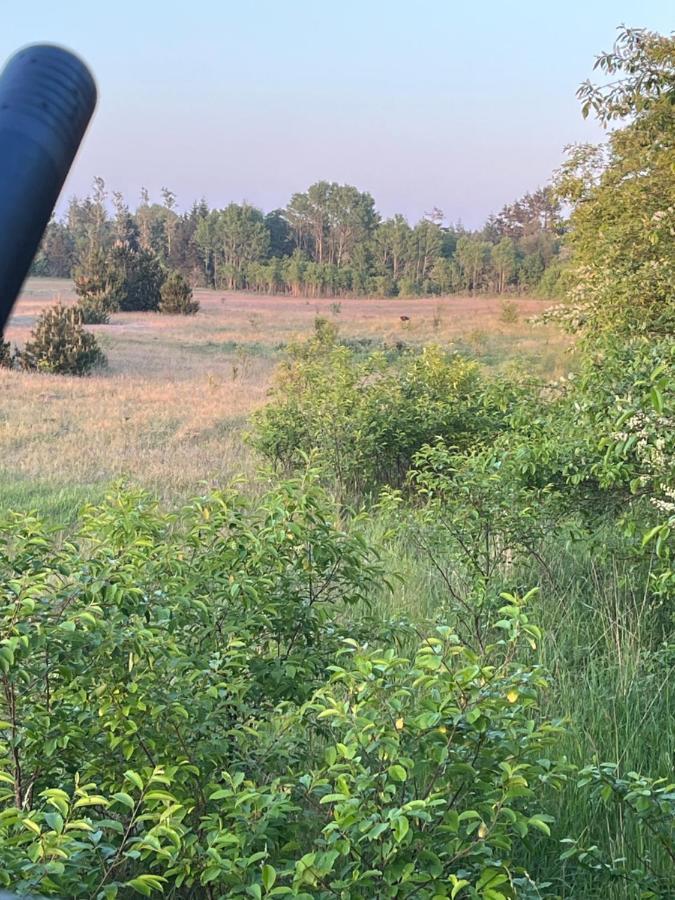 Billund, Legoland, Skjern A, Fiskeri, Herning. Tarm Zewnętrze zdjęcie